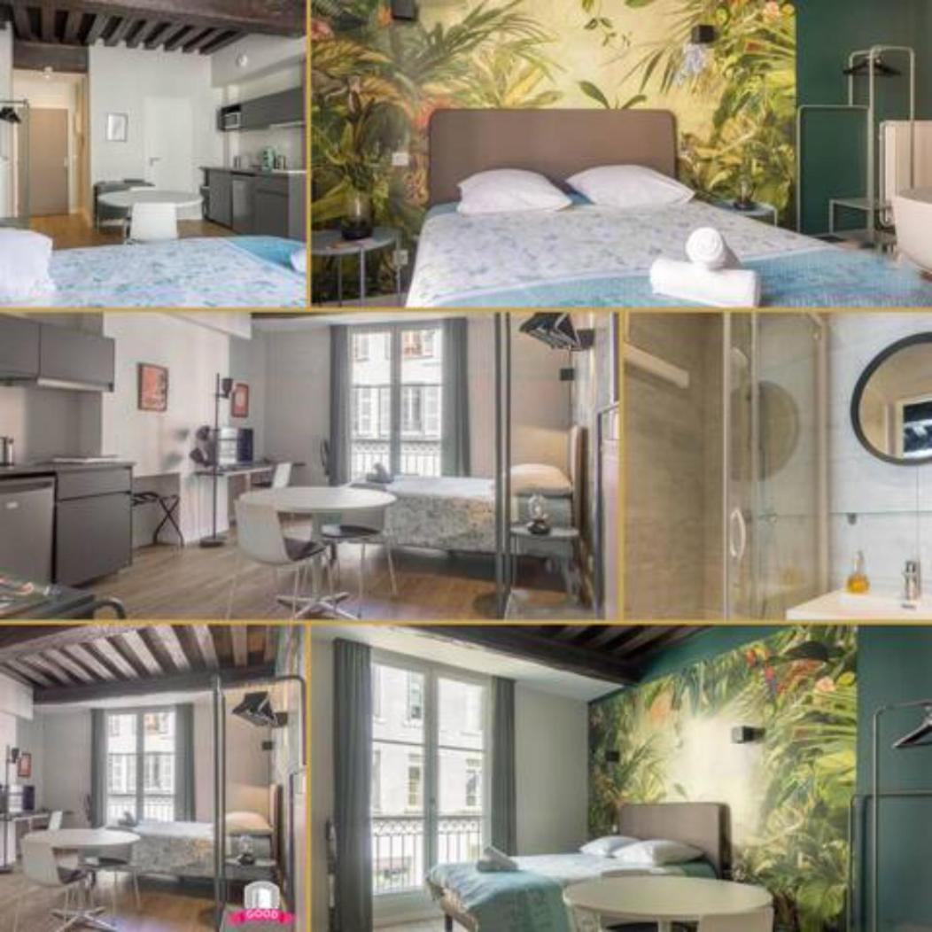 Somptueux Studio Hyper Centre Avec Wifi Apartment Orleans Luaran gambar
