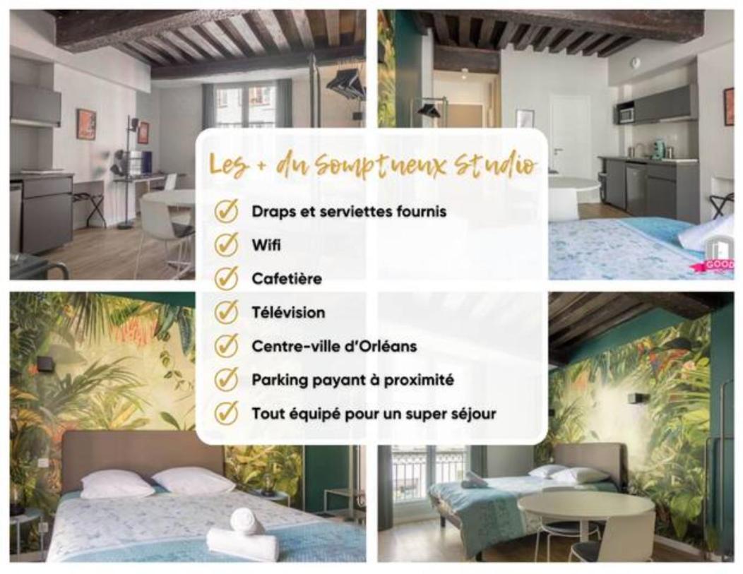 Somptueux Studio Hyper Centre Avec Wifi Apartment Orleans Luaran gambar